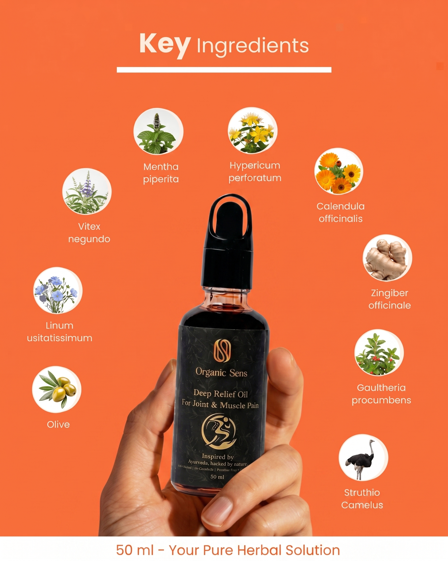 Organic Sens Deep Comfort Oil – Herbal Wellness Oil