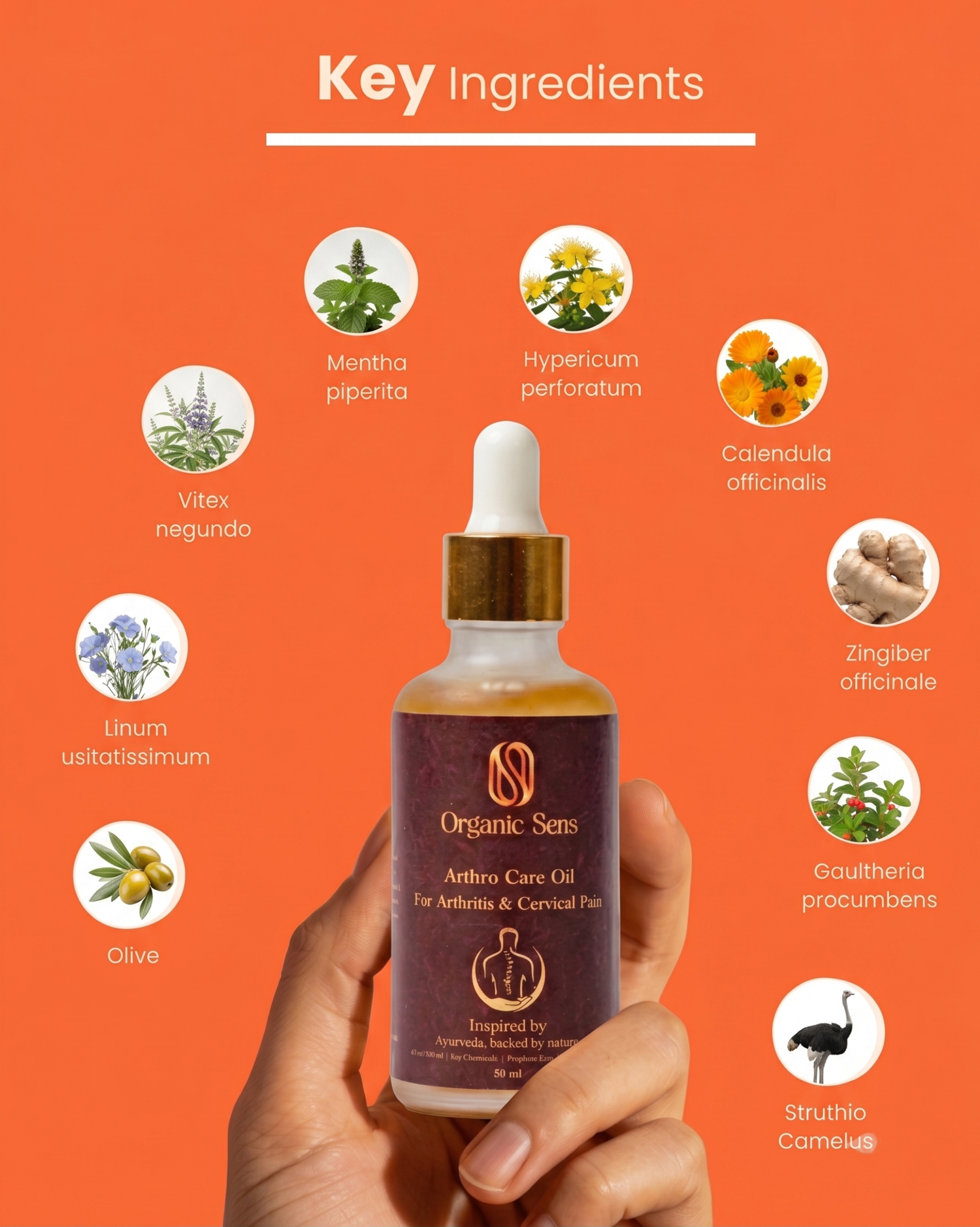 Organic Sens Arthro Care Oil | For Neck &amp; Shoulder